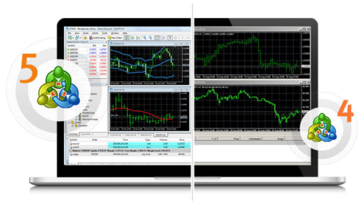 Learn the Top Forex Signals via Telegram and Discord in 2024