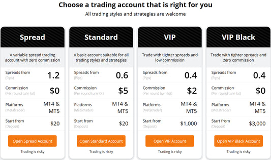 What is the Forex Market and How to Trade it 2024